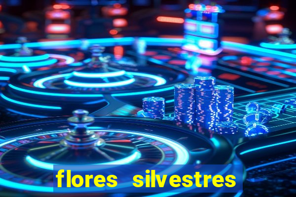 flores silvestres desbravadores desbravadores 25